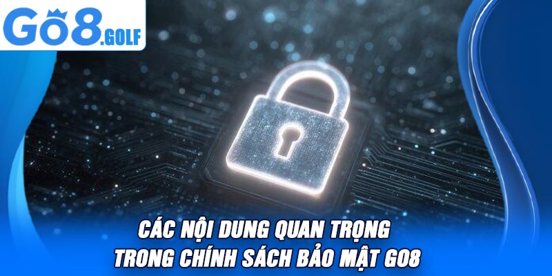 Các Nội Dung Quan Trọng Trong Chính Sách Bảo Mật Go8