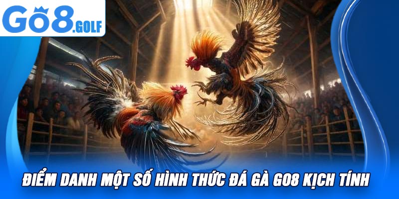 Điểm Danh Một Số Hình Thức Đá Gà Go8 Kịch Tính