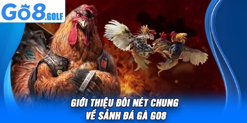 Giới Thiệu Đôi Nét Chung Về Sảnh Đá Gà Go8